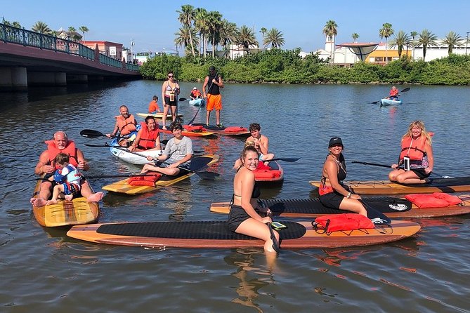 Dolphin and Manatee Stand Up Paddleboard Tour in Daytona Beach - Key highlights at a glance