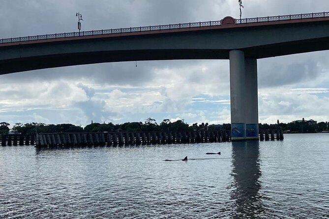Dolphin and Manatee Stand Up Paddleboard Tour in Daytona Beach - SUP in Daytona’s waters: what the experience really feels like