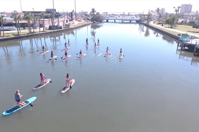 Dolphin and Manatee Stand Up Paddleboard Tour in Daytona Beach - Getting started right: the lesson, safety talk, and board basics