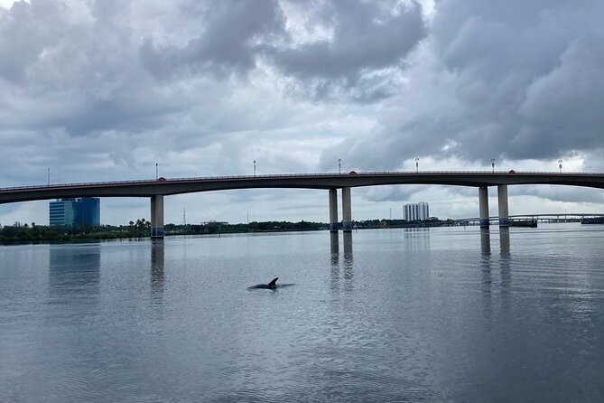 Dolphin and Manatee Stand Up Paddleboard Tour in Daytona Beach - The route: island loop, seven bridges, and canal scenery