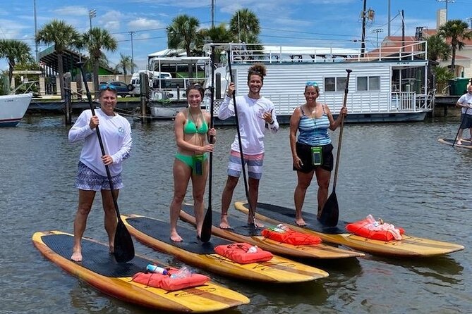 Dolphin and Manatee Stand Up Paddleboard Tour in Daytona Beach - Wildlife chances for manatees and dolphins: how to think about success