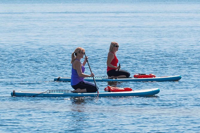 Dolphin and Manatee Stand Up Paddleboard Tour in Daytona Beach - Price and value: is $65 for 2 to 3 hours a good deal?