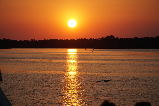 Dolphin and Nature Sunset Cruise from Orange Beach - Key things that make this cruise worth it