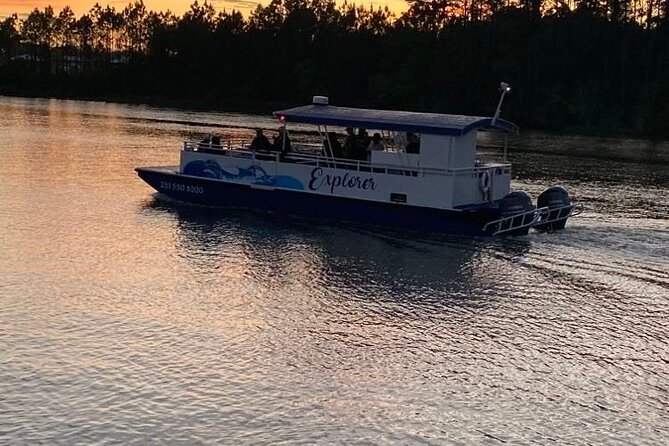 Dolphin and Nature Sunset Cruise from Orange Beach - The Orange Beach back bays plan: what the crew is looking for