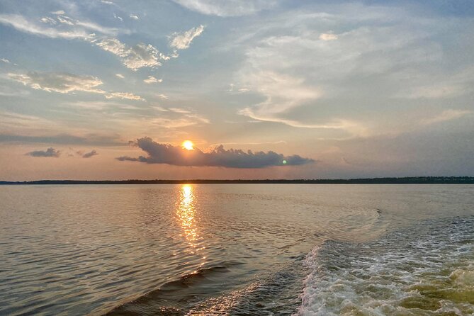 Dolphin and Nature Sunset Cruise from Orange Beach - Price and value: is $50 a good deal?