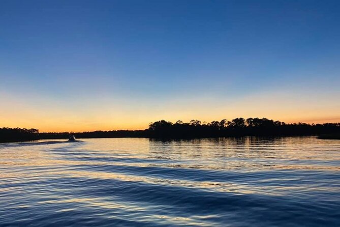 Dolphin and Nature Sunset Cruise from Orange Beach - Stop 1 at Orange Beach: the wildlife portion that actually feels like a hunt
