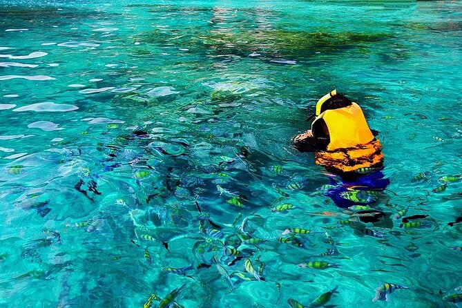 Dolphin, Sea Cave & Captain Cook Snorkel Combo in Kealakekua Bay - From Kailua-Kona meeting point to Keauhou area, how the flow feels