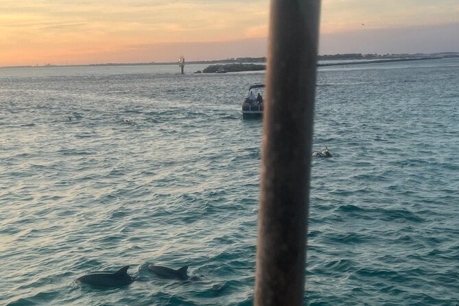 Dolphin & Sunset Cruises - Key Highlights You’ll Care About