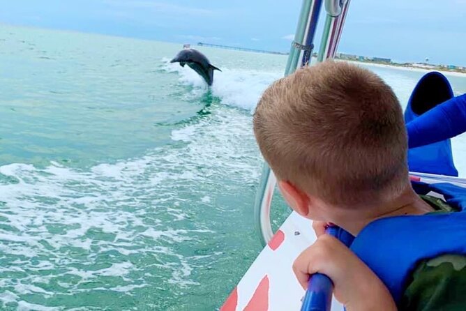 Dolphin-Watching Speedboat Cruise in Destin Harbor - Key things that make this Destin dolphin cruise worth your time