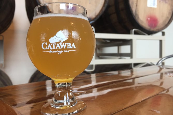 Downtown Asheville Guided Brewery Walking Tour - Stop 2: Twin Leaf Brewery, Production Area Access for Grain-to-Glass Clarity