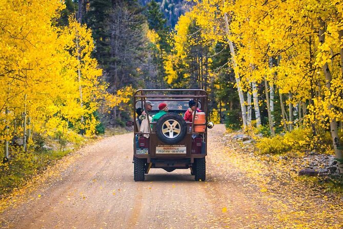 Durango Half Day Jeep Tour - La Plata Canyon - Wildlife and wildflowers: how the guide hunting works