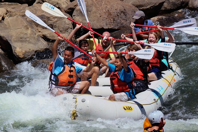 Durango Half Day Rafting Trip - Lower Animas River - Lower Animas Half-Day Rafting in Durango: The vibe and what you are really buying