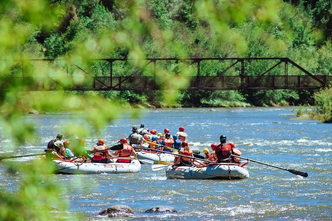 Durango Half Day Rafting Trip - Lower Animas River - Timing, small groups, and why this half-day option works