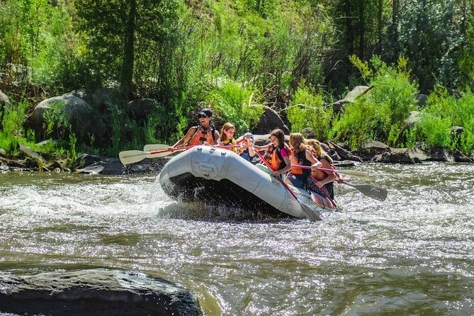 Durango Half Day Rafting Trip - Lower Animas River - Price and value: what you get for $107.91