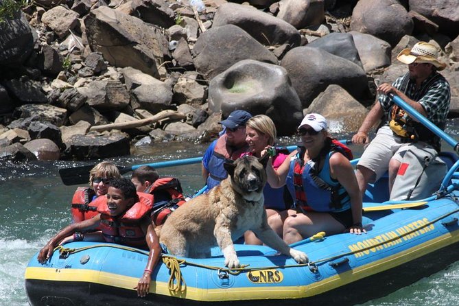 Durango Rafting - Quarter Day Family Friendly Trip - Stop-by-Stop: How the Day Flows Through Durango
