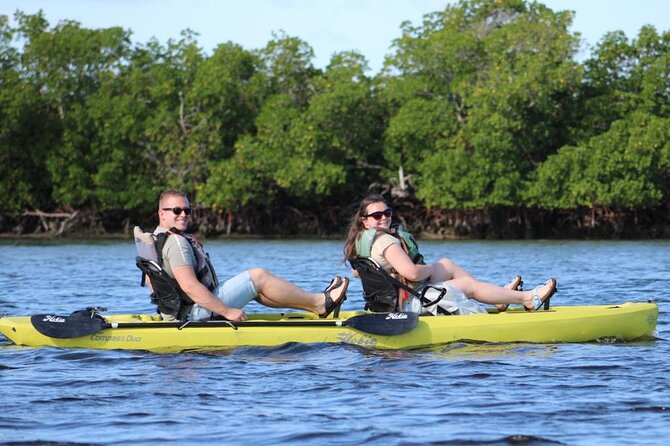 Easy Ride Pedal Kayak Tour Marco Island & Naples (Pedal or Paddle - Pedal vs paddle: who will like this the most