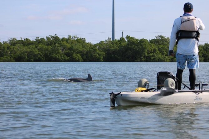 Easy Ride Pedal Kayak Tour Marco Island & Naples (Pedal or Paddle - Wildlife spotting: dolphins, manatees, birds, and small surprises