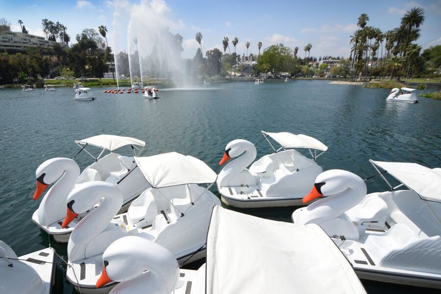 Echo Park Lake: Swan Pedal Boat Rental - The Best Sights: Fountain, Lotus Beds, and Skyline Views