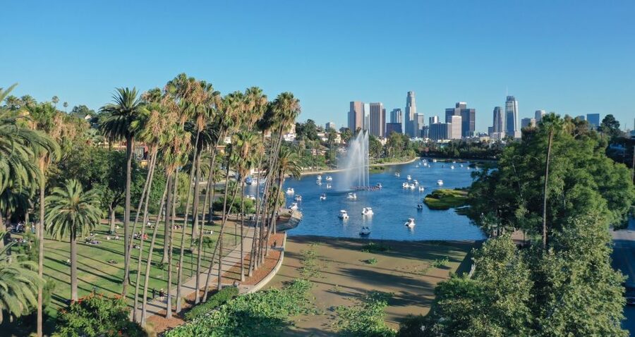 Echo Park Lake: Swan Pedal Boat Rental - Wildlife Encounters and What They Really Feel Like