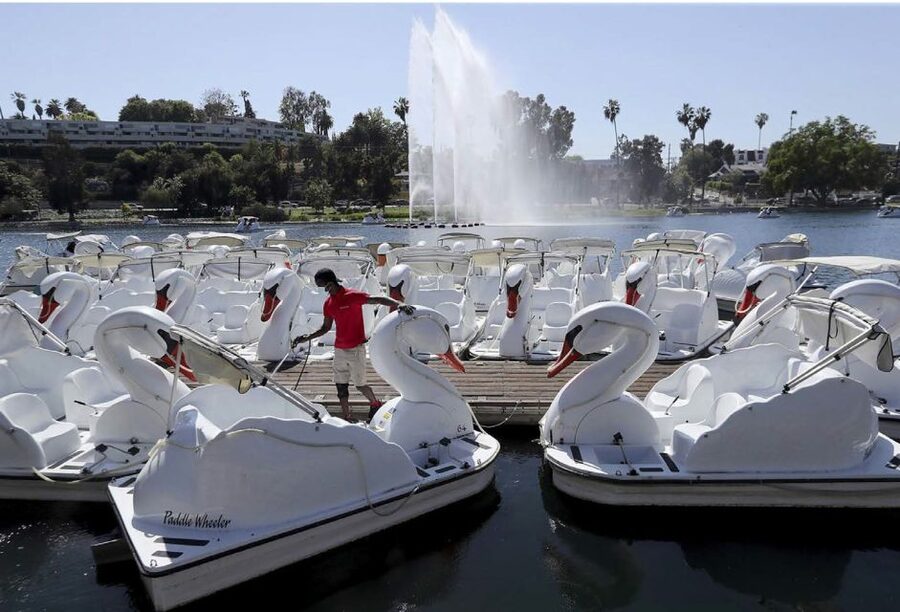 Echo Park Lake: Swan Pedal Boat Rental - Swan Pedal Boats: The Easy-Fun Factor