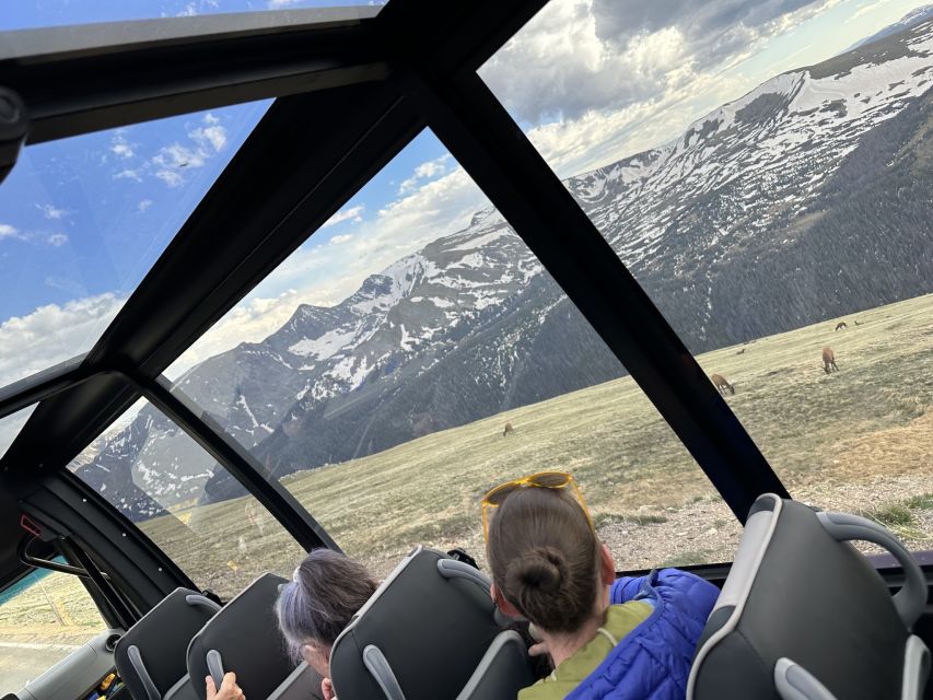 Estes Park: Rocky Mountain National Park Glass-Top Bus Tour - Old Fall River Road: Historic High-Elevation Scenery
