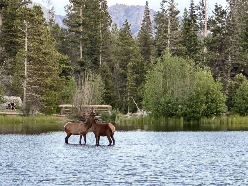 Estes Park: Rocky Mountain National Park Glass-Top Bus Tour - Alpine Visitor Center: The Highest Break in the System