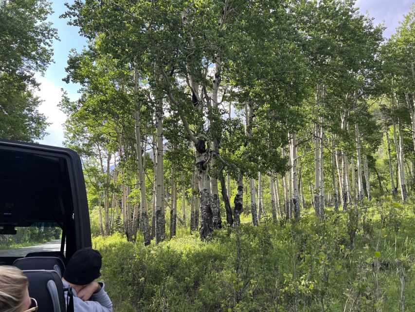 Estes Park: Rocky Mountain National Park Glass-Top Bus Tour - Wildlife Spotting Stops That Feel Like Part of the Trip