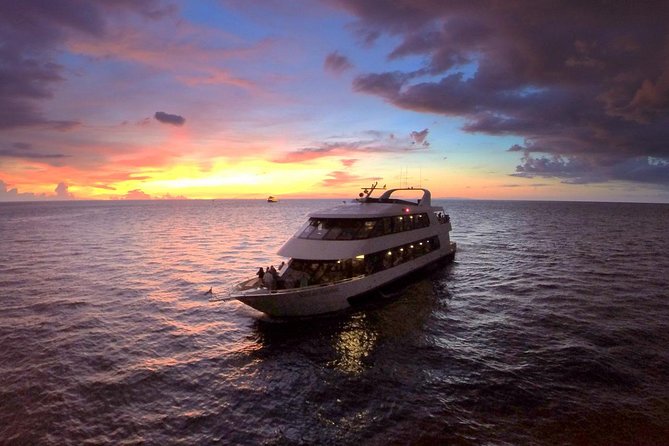 Evening Yacht Cruise with Optional Dining in St. Petersburg - Key Highlights You Will Actually Care About
