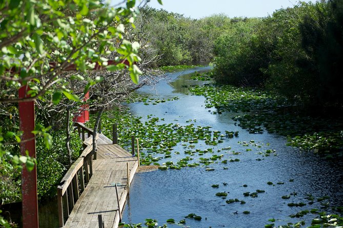 Everglades Airboat, Wildlife Show, and Roundtrip Bus From Miami - The alligator and wildlife show: education with mixed opinions