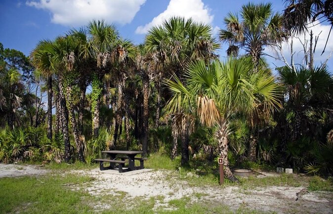 Everglades Day Safari from Fort Myers/Naples Area - Key Things That Make This Safari Worth Your Time