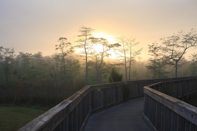 Everglades Day Safari from Fort Myers/Naples Area - Stop 3: Lunch At Island Cafe, Fuel Up In Everglades City Mode