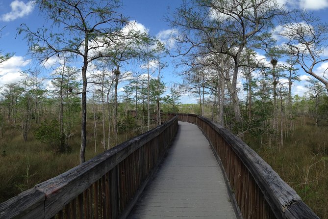 Everglades Day Safari from Ft Lauderdale - Smallwood Store, Chokoloskee, and the Human Side of the Swamp