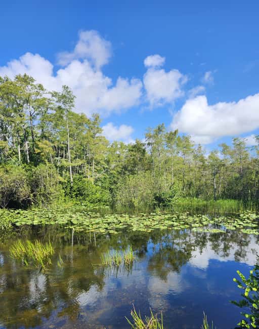 Everglades Eco Airboat Small-Group Tour & 2 Private Islands - Key Things I’d Watch For Before You Go