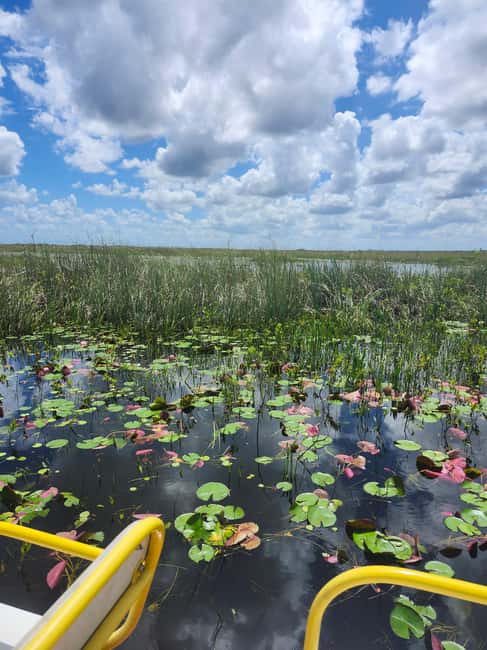 Everglades Eco Airboat Small-Group Tour & 2 Private Islands - Arriving at the Airboat: Open-Air Views, Tiered Seats, and a Quieter Feel