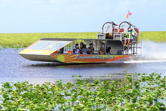 Everglades Holiday Park Airboat Tours & Rides - Wildlife spotting: alligators, birds, and the bonus animals