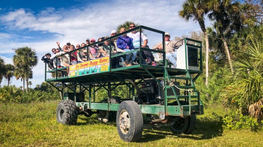 Everglades: Mangrove Maze Airboat Tour and Boardwalk - Entering the Mangrove Maze by airboat