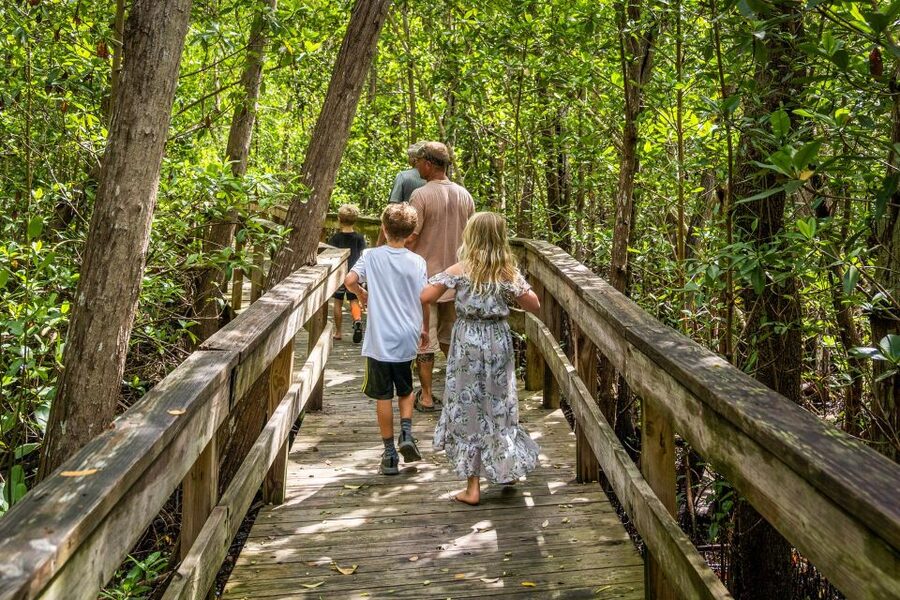 Everglades: Mangrove Maze Airboat Tour and Boardwalk - Timing tips: how to avoid losing the relaxed part
