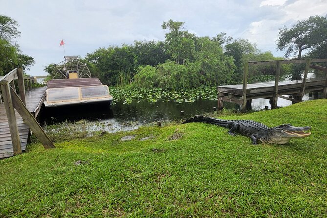 Everglades National Park Biologist Led Adventure: Cruise, Hike + Airboat - Smallwood Store: trading-post history in a time-capsule setting
