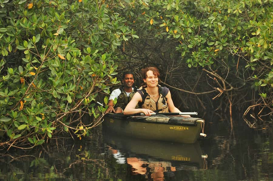 Everglades National Park: Mangrove Tunnel Kayak Eco-Tour - Key Highlights That Matter on the Water