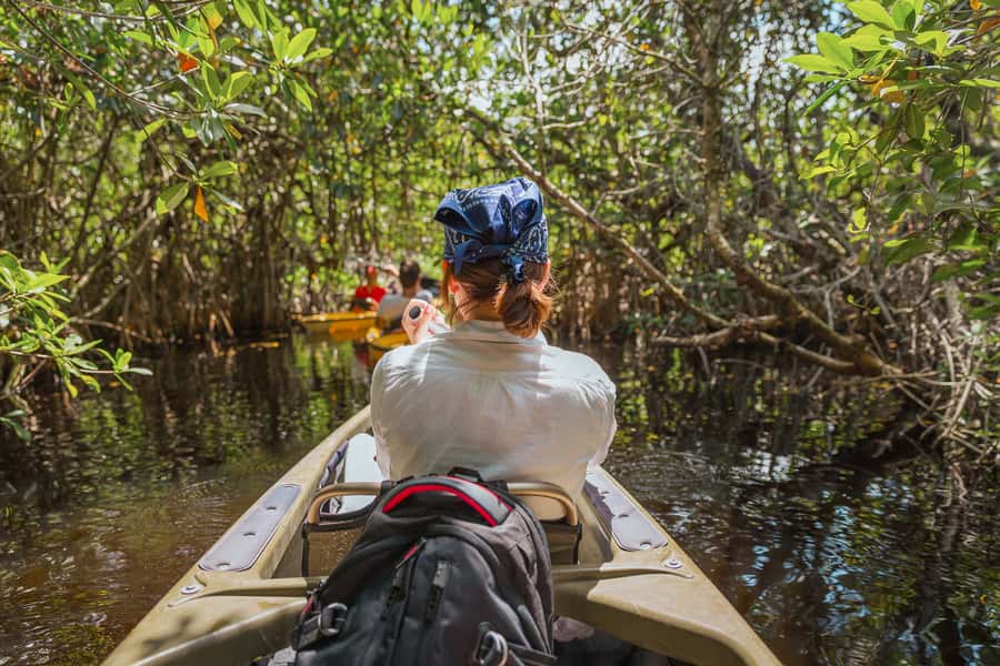 Everglades National Park: Mangrove Tunnel Kayak Eco-Tour - Kayak Setup: Sit-On-Top Comfort Before You Enter the Tunnels