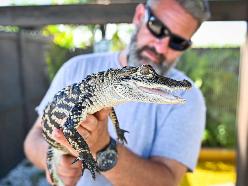 Everglades: Sawgrass Park Day Time Airboat Tour & Exhibits - Quick Takeaways From the Sawgrass Airboat Day