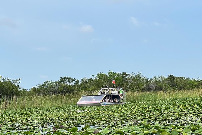 Everglades Small-Group Tour from Miami with Transportation - The alligator education stop: rescued animals and the humane angle
