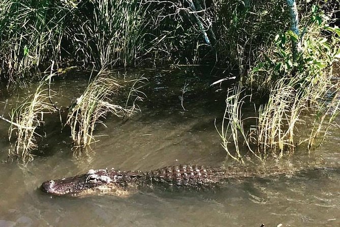 Everglades Small-Group Tour from Miami with Transportation - Is this really the Everglades National Park, and why that matters for airboats