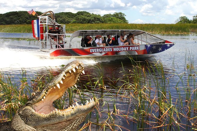 Everglades VIP Airboat Tour with Transportation Included - The airboat ride itself: speed, narration, and engine cut moments