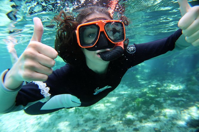 Exclusive Small Group VIP Heated Manatee Snorkel Tour - When the Manatees Are Most Likely to Show Up