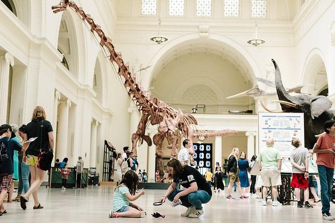 Field Museum of Natural History Admission Tickets - Your $29 Ticket: What You Get, and What Costs Extra