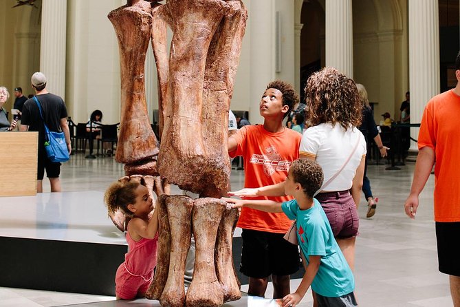Field Museum of Natural History Admission Tickets - Planning Your 4-Hour Visit: Pacing, Crowds, and Shoe Advice