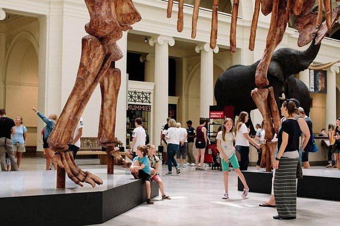 Field Museum of Natural History Admission Tickets - Special Exhibits, Ticketed Add-Ons, and Free Docent Tours That Actually Help