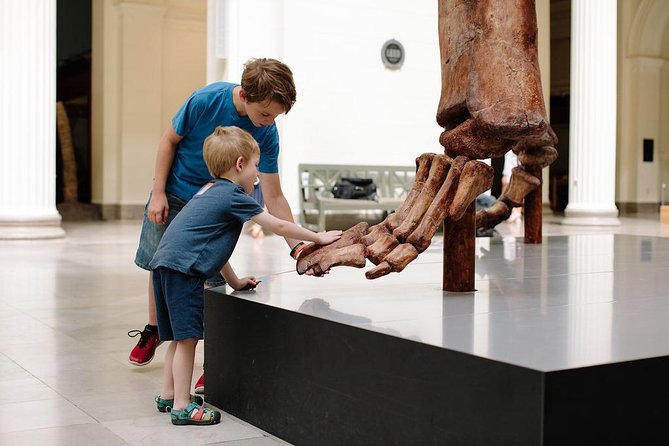 Field Museum of Natural History Admission Tickets - SUE and the Dinosaur Power Zone: The Fossil Moment You Plan Around