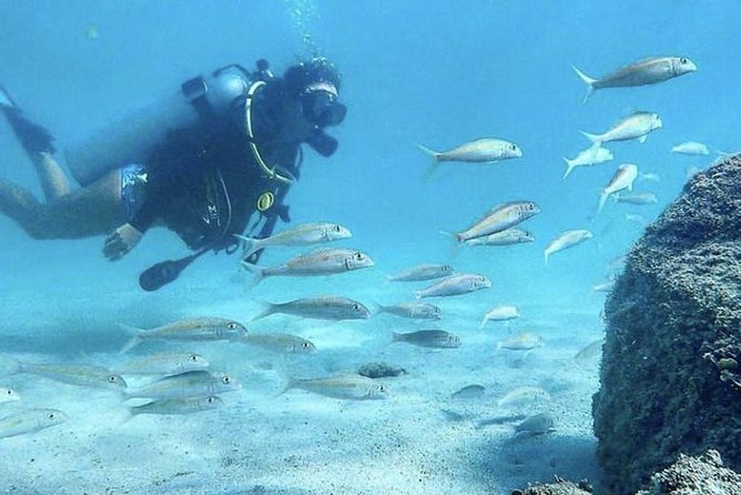 First-Time Scuba Diving in Honolulu + Free Videos - Getting Set Up at Magic Island Lagoon (and Why It Matters)